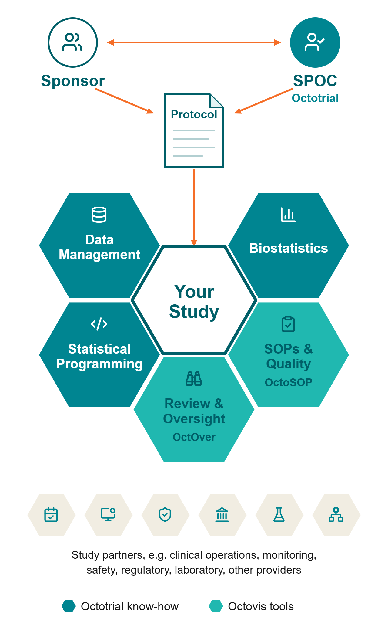 Study network on mobile: Sponsor and SPOC define the protocol for your study, surrounded by the Octotrial core and the Octovis tools OctOver and OctoSOP. Study partners can be added as needed.